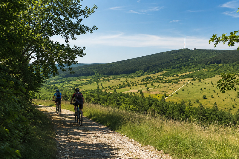 Najbolje biciklističke rute u Beogradu: 5 ruta koje preporučuju lokalni biciklisti